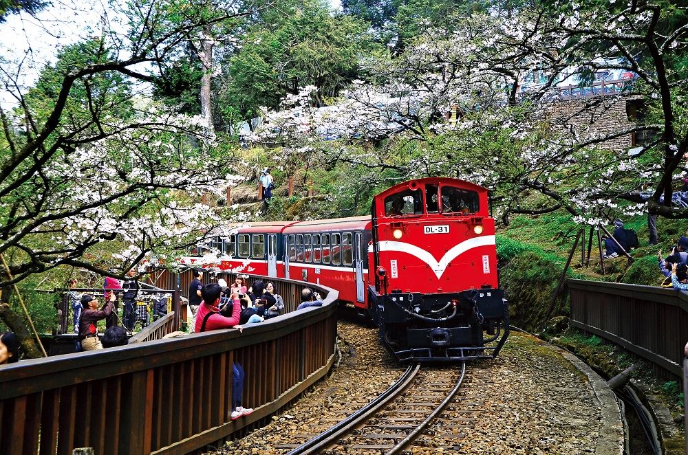 2021台灣 嘉義阿里山包車旅遊自由行 看日出行程 住宿 一二日遊 交通全攻略 Travo Guide
